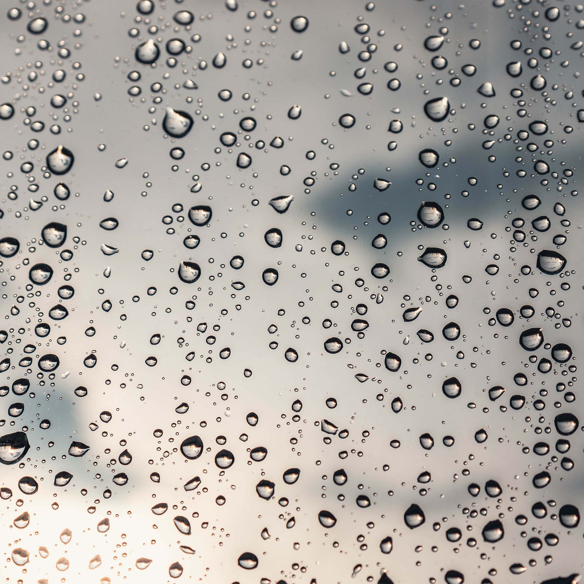 How to Clean Hydrophobic Glass