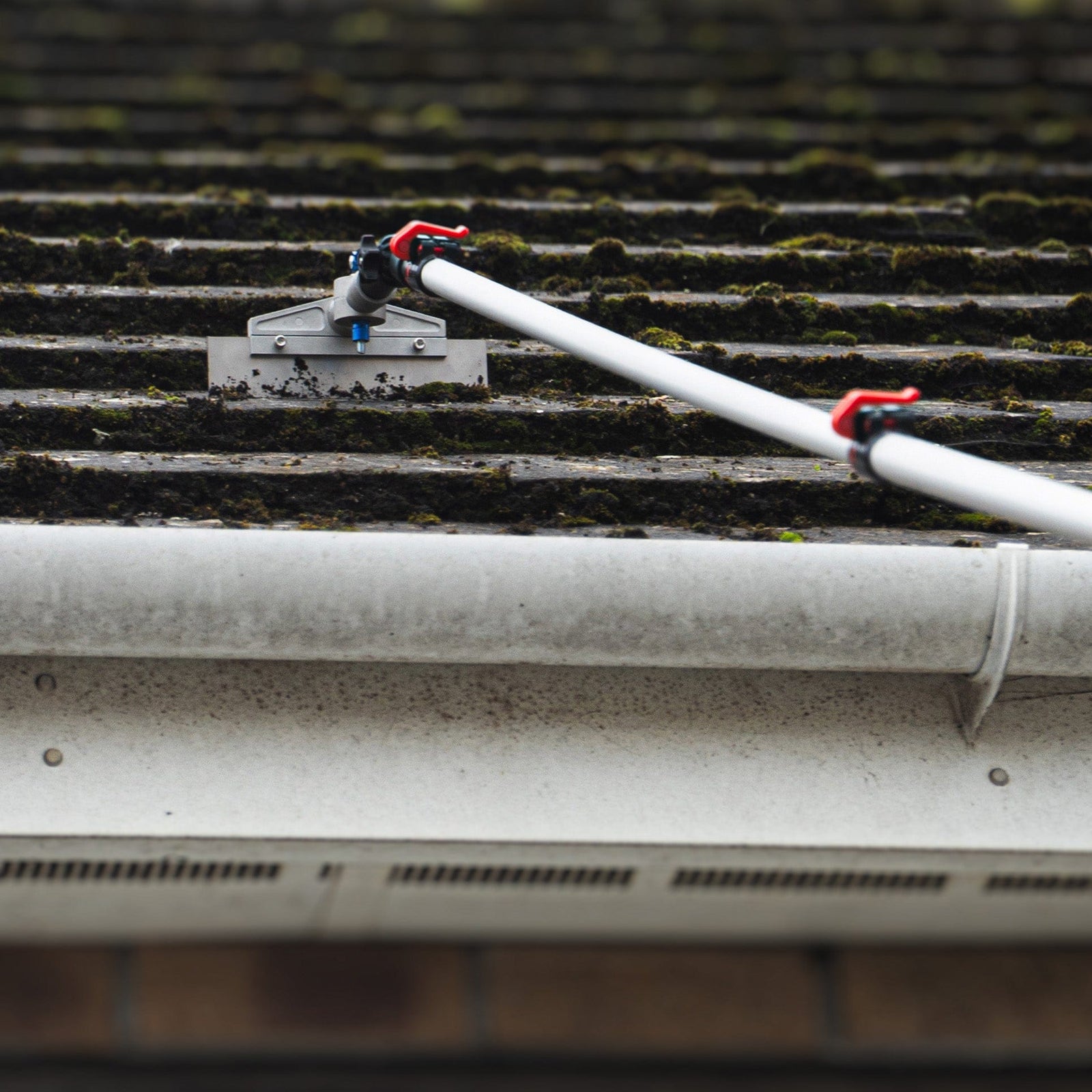 Roof Cleaning